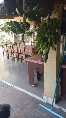 Chácara Cezarina