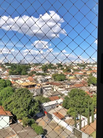Viver Fama