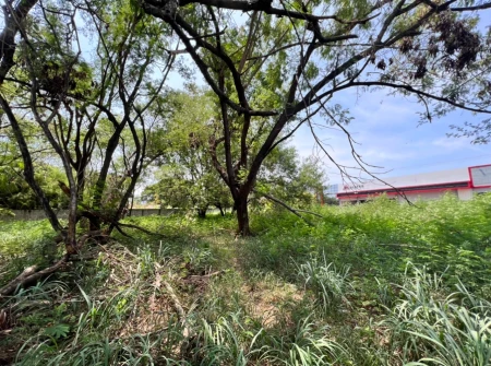 Terreno Jardim América