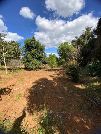 Chácara Fazenda Retiro das Caldas