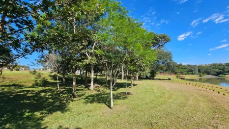 Lote no Jardins Porto