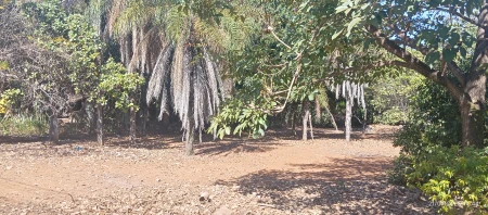 Terreno com Casa Vale das Brisas