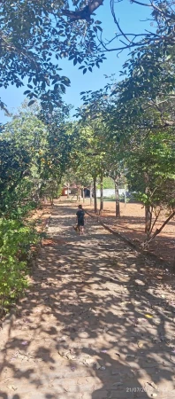 Terreno com Casa Vale das Brisas