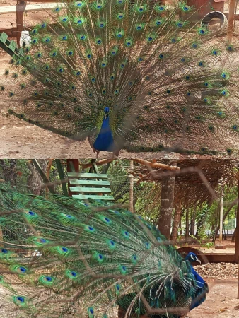 Sítio Águas do Capivari