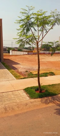 Lote Parqville Quaresmeira
