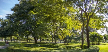 Sobrado Jardins Madri