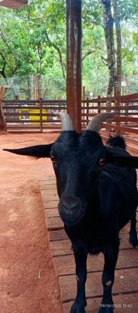 Lote Águas do Capivari