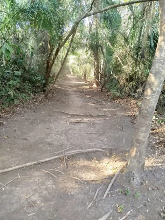 Lote Águas do Capivari