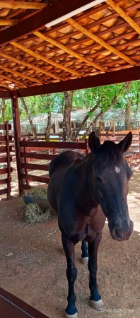 Lote Águas do Capivari