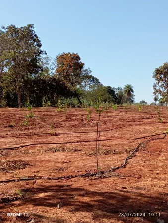 Lote Águas do Capivari