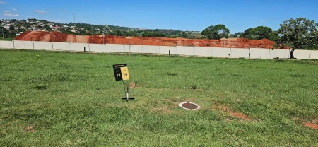Lote  Plateau D'or Unique