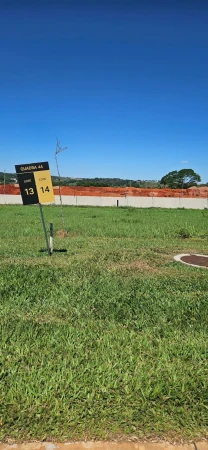 Lote  Plateau D'or Unique