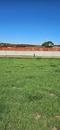 Lote  Plateau D'or Unique