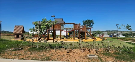 Lote Plateau D'or Unique