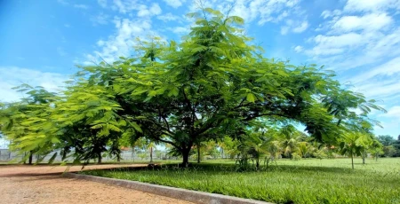 Condomínio de Chácaras Miraflores