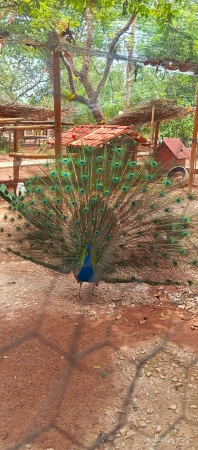 Casa Águas do Capivari