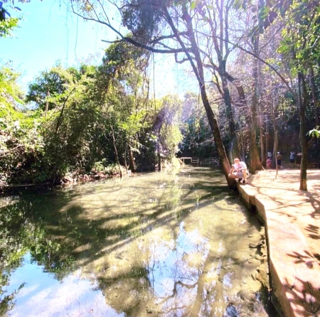 Flat Park Veredas