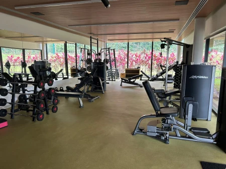 Lote Plateau D'or Privilege