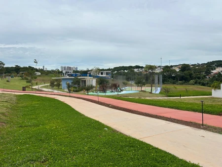Lote Plateau D'or Privilege