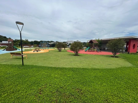 Lote Plateau D'or Privilege