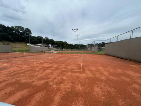 Lote Plateau D'or Privilege