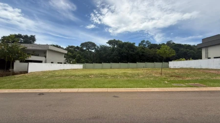 Lote Plateau D'or Privilege