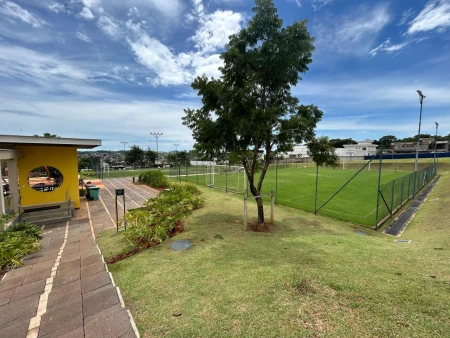 Lote Plateau D'or Privilege