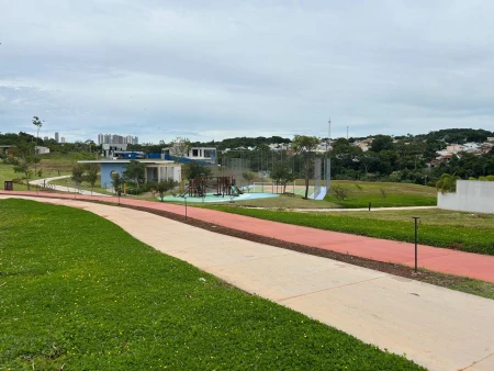 Lote Plateau D'or Privilege
