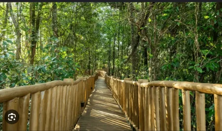 Lote Condomínio com Lago