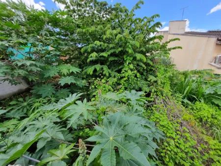 Terreno no Setor Orientville