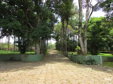Chácara em Aragoiânia