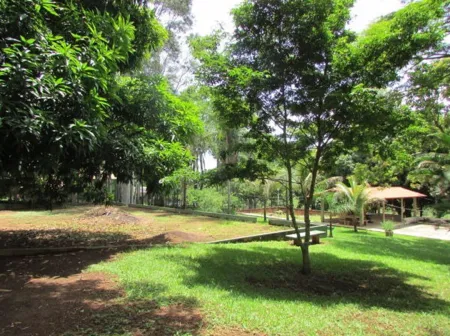 Chácara em Aragoiânia