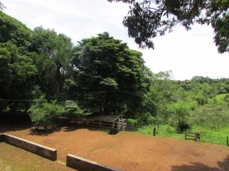 Chácara em Aragoiânia
