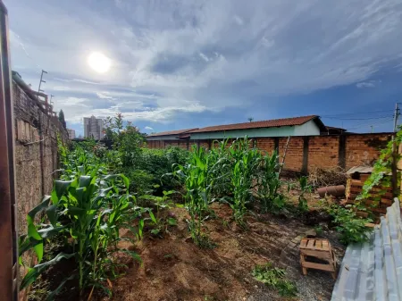 Lote no Setor Parque Amazônia
