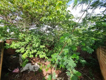 Lote no Setor Parque Amazônia