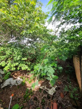 Lote no Setor Parque Amazônia