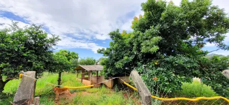 Área no Sítios de Recreio Mansões do Campus