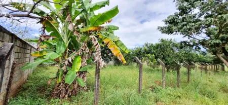 Área no Sítios de Recreio Mansões do Campus