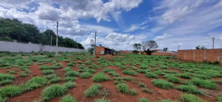 Lote no Setor Cidade das Flores