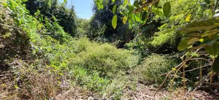 Chácara em Abadia de Goiás