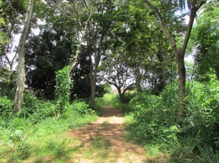 Terreno na Vila Maria