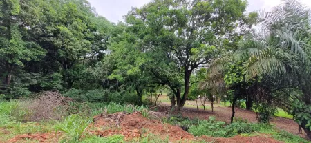 Área em Aparecida de Goiânia