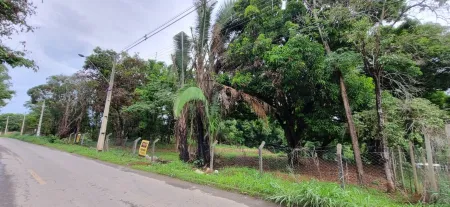Área em Aparecida de Goiânia