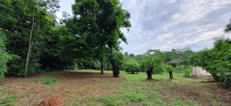 Área em Aparecida de Goiânia