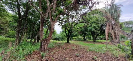 Área em Aparecida de Goiânia