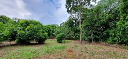 Área em Aparecida de Goiânia