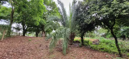 Área em Aparecida de Goiânia