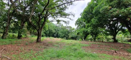 Área em Aparecida de Goiânia
