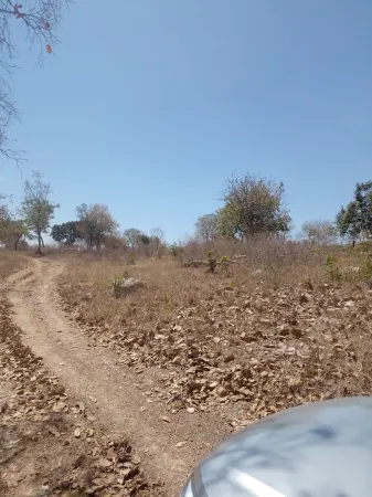 Chácara em Aparecida de Goiânia
