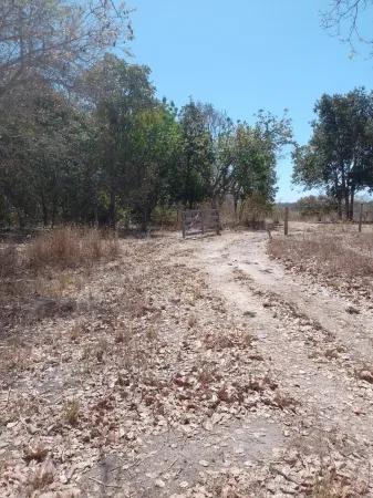 Chácara em Aparecida de Goiânia